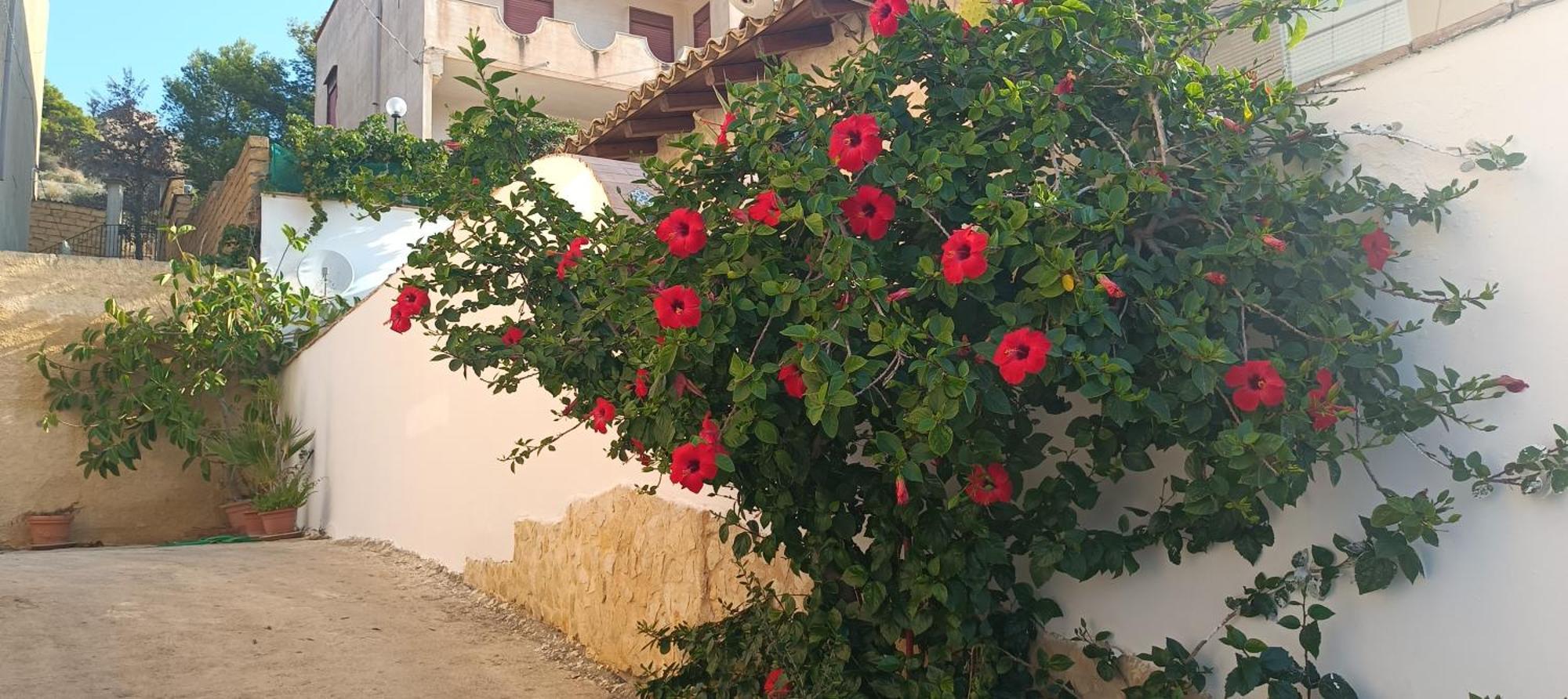 Al Faro Bed & Breakfast Реалмонте Екстериор снимка